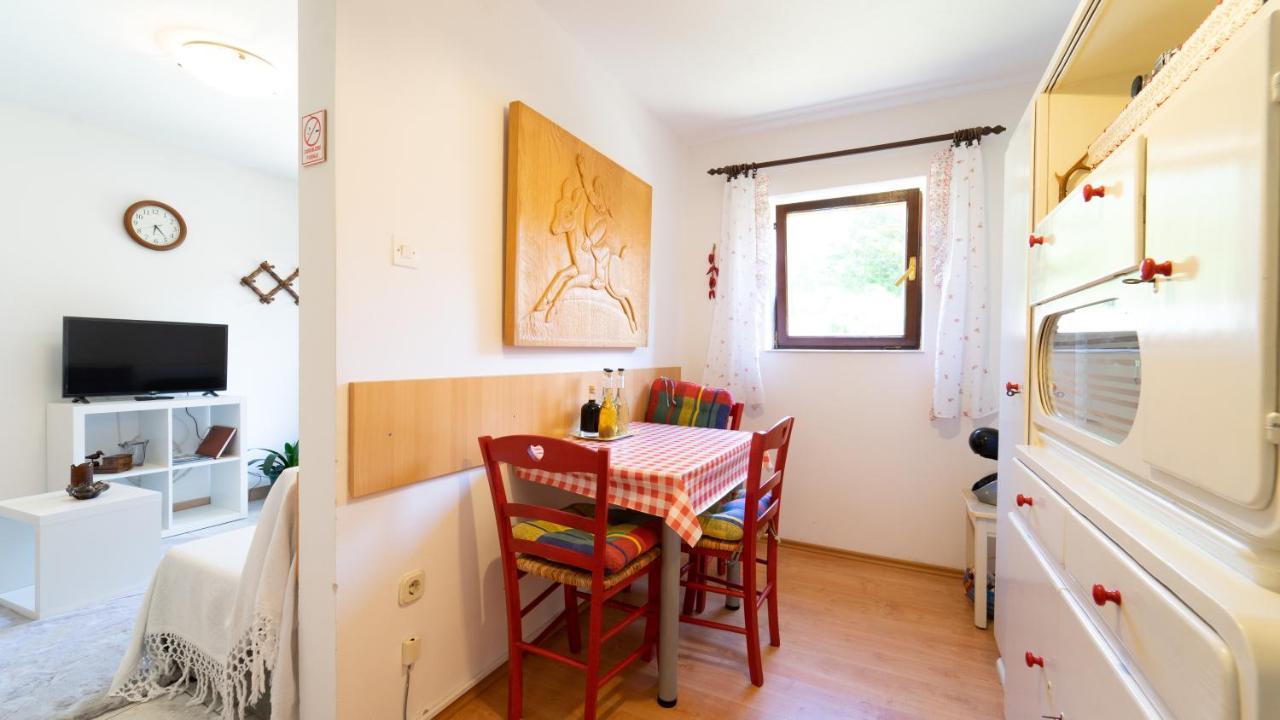 Karolina Apartment Fuzine Luaran gambar